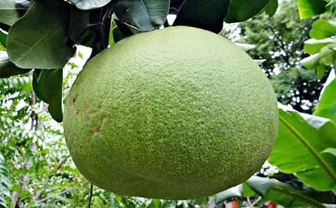 ����(y��u)�㣩���ӵ�����