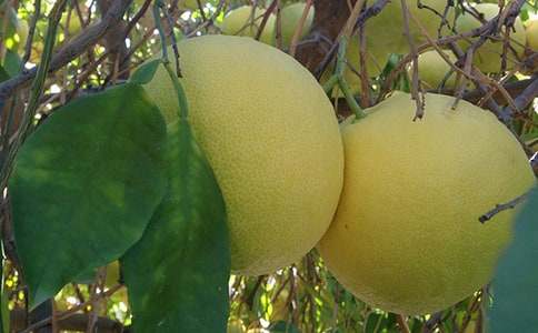 �u���ӵ��Ϡ�������1000��