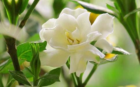 �d�ӻ��_�ļ���(ji��)800������