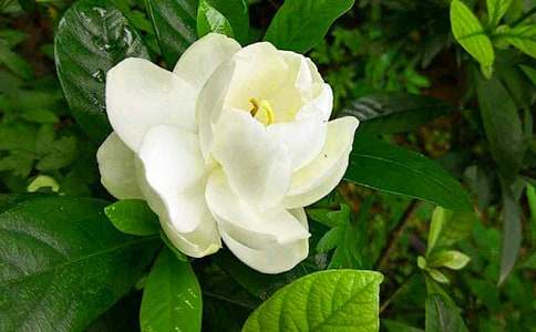 �d�ӻ�����400�֣����x17ƪ��