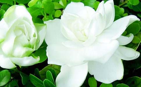 ӛ����d�ӻ�������