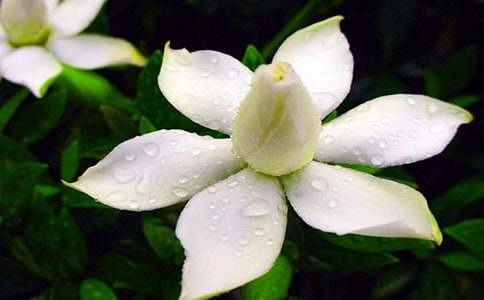 ���P(gu��n)������ėd�ӻ��_����