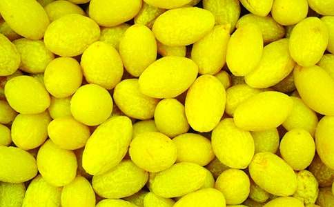 ��Ҳ��^(gu��)һö���ϙ�����950��