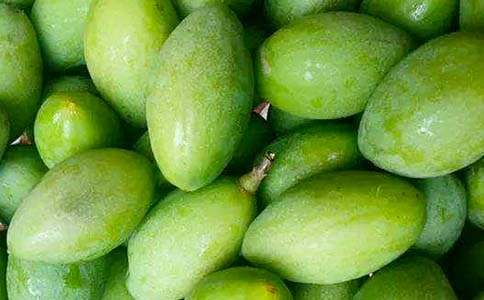 橄欖的作文500字(通用26篇)