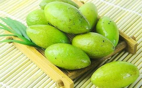 生命的橄欖作文