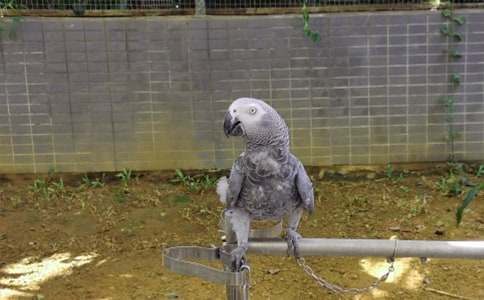 �����x���W�^ͯԒ����3ƪ