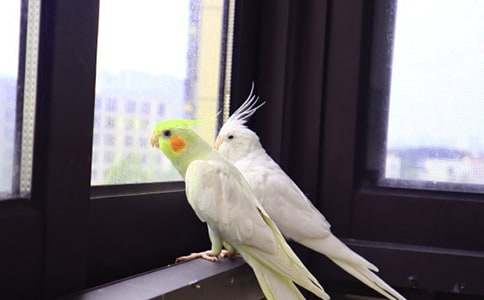 �P(gu��n)���W�^ͯԒ���ąR��6ƪ