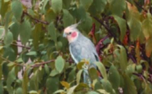 �P(gu��n)���W�^�~(y��)���ĺϼ���ƪ