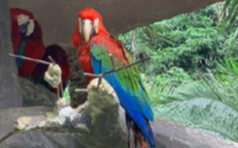 �W�^�~����400��10ƪ