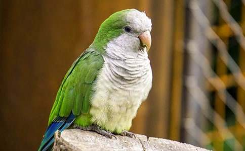 �����x���W�^�~������ƪ