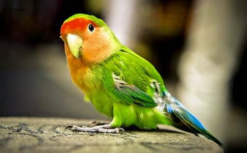 �W�^�~���ĺϼ�8ƪ