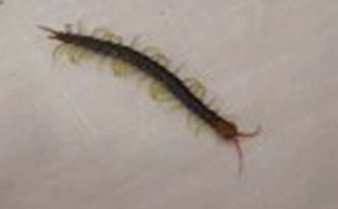 ������������500�֣�ͨ��30ƪ��