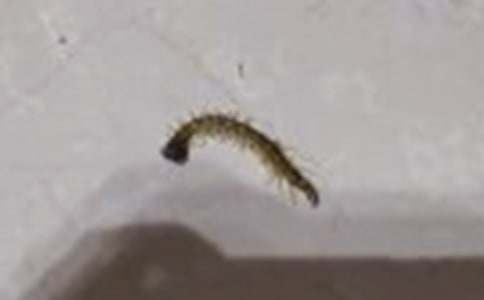 ����c�w���ِ����