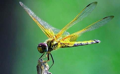 ����������600�֣����x26ƪ��