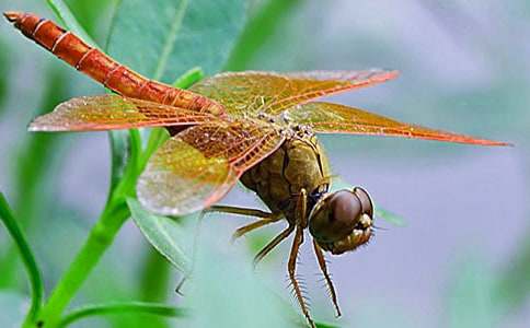 ���x�����cˮ������ƪ