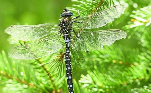 �����������ц���_1200��