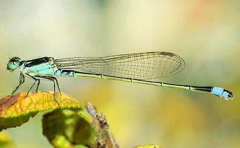 [��(y��u)�x]�����c(di��n)ˮ����