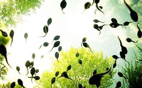 ������С���ͯԒ����