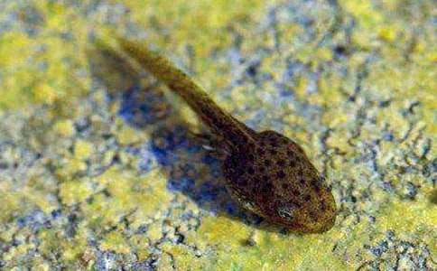 С����ҋ������ģ����x45ƪ��