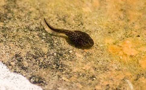 �d�d���꣬СС������꼉(j��)����