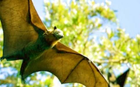 �Є�(d��ng)��Ԣ�Թ��£��з��؈�^��������