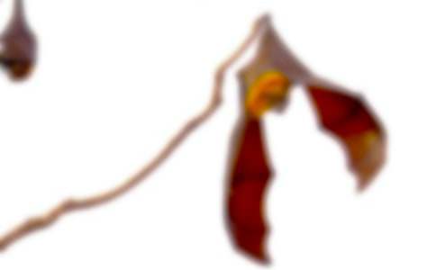 �����A����������600����ƪ