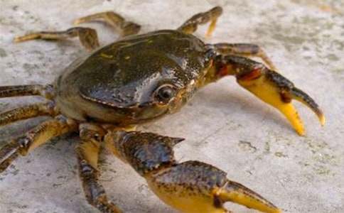 �^���з����10ƪ