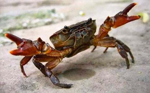 �^���з���ģ����x35ƪ��