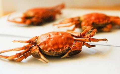 抓螃蟹趣事作文