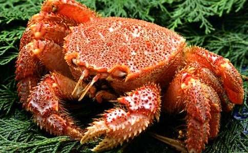 動物童話故事:猴子與螃蟹