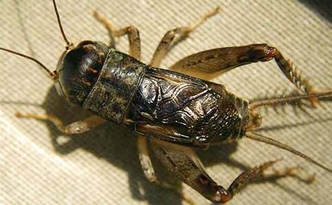 ������400��