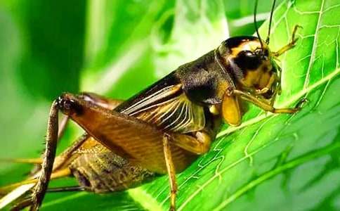 �����l(xi��ng)��-��һ�m(x��)���Č�����