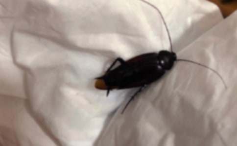 �������400��6ƪ