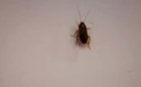 �����˵�С�W(xu��)���ķ���