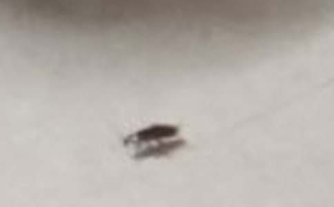 �������400����ƪ