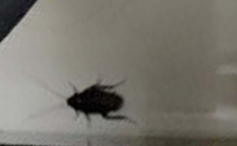 �����һ����������600��