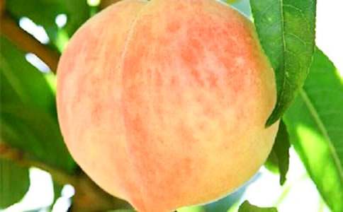 ��ҕ�(hu��)����600��