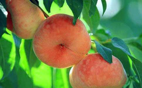 ҹ����ҕ���(y��u)������