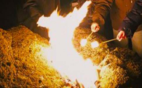 篝火晚會作文400字(精選20篇)