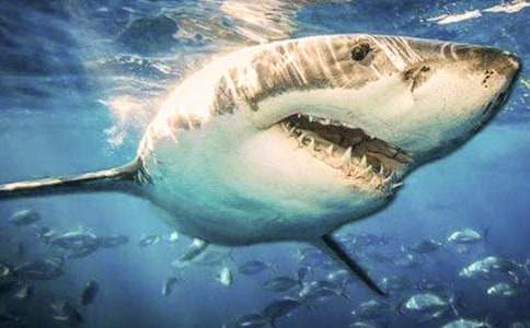 �����~���S�c�m(x��)�����W����