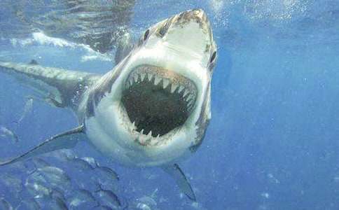 �������~����