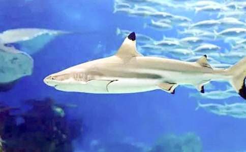 ���x���~����9ƪ