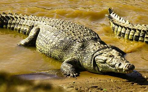 �P(gu��n)���{�~(y��)��С�W(xu��)������