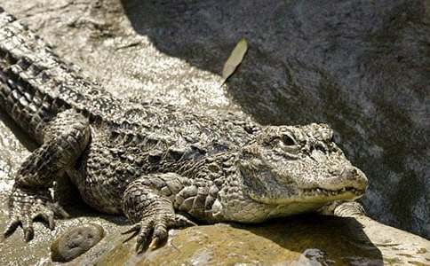 �{�~Ո��ͯԒ����