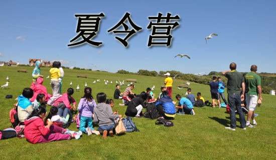 ܊Ӗ(x��n)����I(y��ng)����850�֣�ͨ��24ƪ��