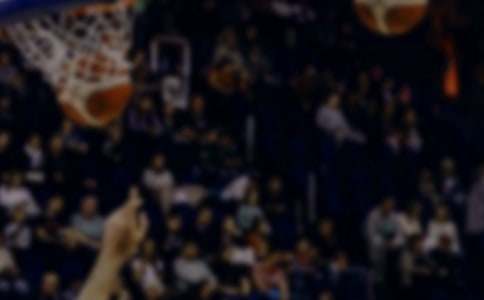 我心中的NBA作文